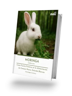 MORINGA (oleífera lam) COMO FUENTE PROTEICA EN  LA ALIMENTACIÓN DE CONEJOS NUEVA ZELANDA BLANCOS (Oryctolagus cuniculus)